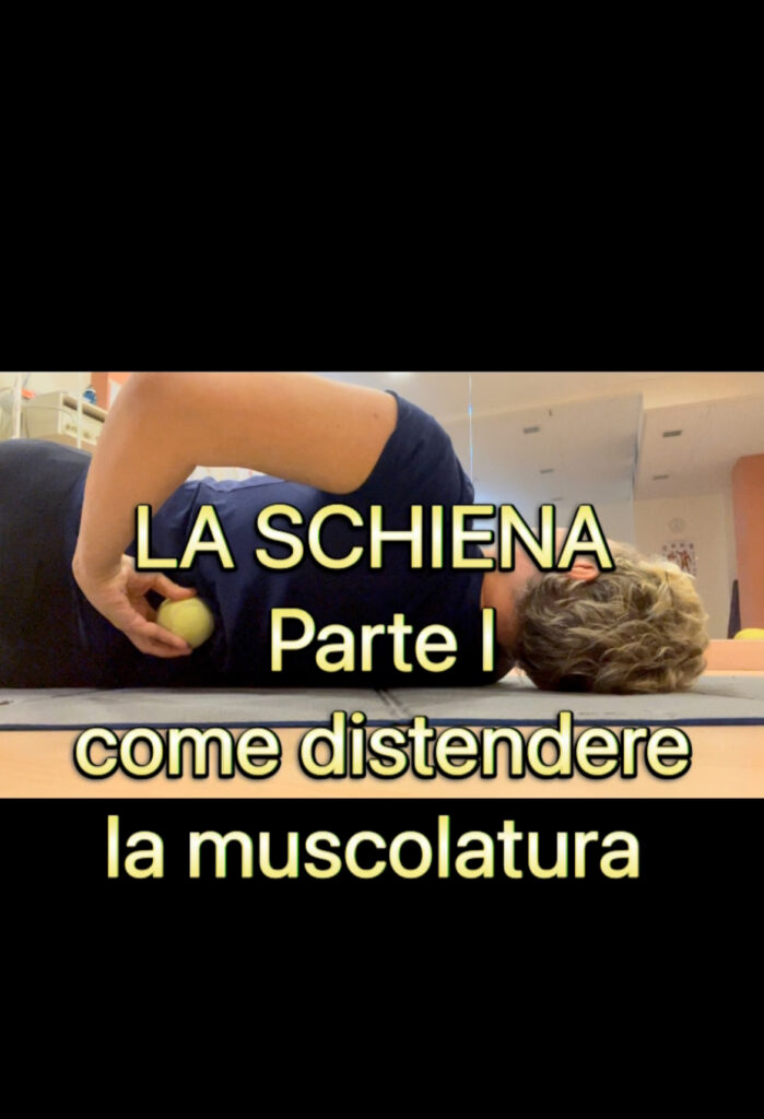 Esercizi per allungare la muscolatura della schiena